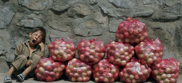 INSPIRED PICTURE WRITING (SOURCE: piclits.com)