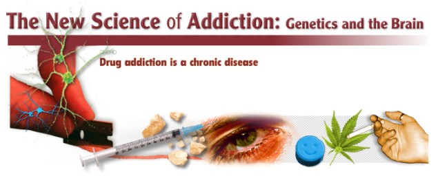 SOURCE: learn.genetics.utah.edu