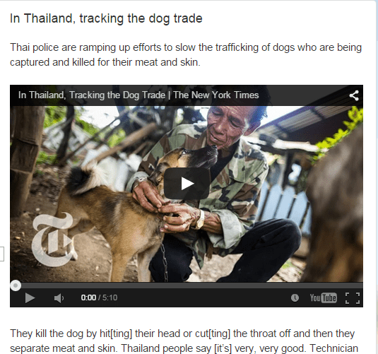 In Thailand, tracking the dog trade- Video with transcript (SOURCE: mythatsenglish.blogspot.gr)
